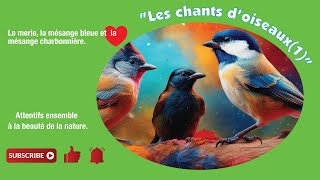 les chants doiseaux 1 [upl. by Nire393]