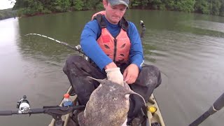 BIG Flathead Catfish Caught While Kayak Fishing [upl. by Heng599]