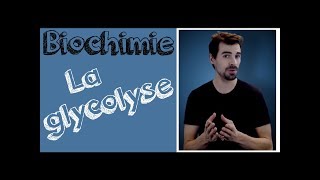 Cours de biochimie Glycolyse [upl. by Atiuqin483]