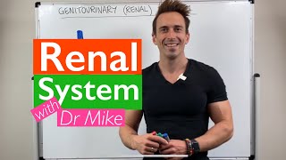 Renal System  Overview [upl. by Carrington853]