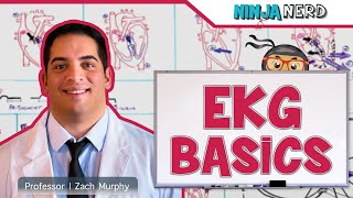 Cardiovascular  EKG Basics [upl. by Erreit]