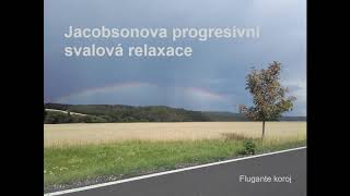 Jacobsonova progresivní svalová relaxace [upl. by Piegari]