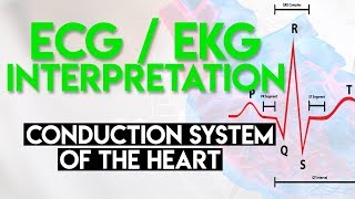 Normal Sinus Rhythm  EKG ECG Interpretation [upl. by Agnot605]