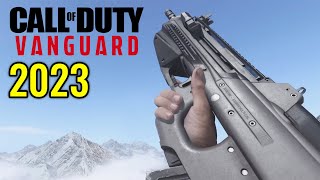 COD Vanguard  All Weapons Showcase Updated 2023 [upl. by Scever]