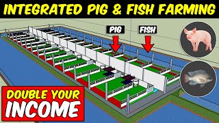 Integrated PIG and FISH Farming  Integrated Farming System Model [upl. by Aiuqram]