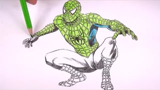 Homem Aranha em várias cores  Aprenda a colorir  Amazing Spiderman [upl. by Sedgewake]