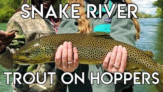 Epic Snake River Hopper Fishing [upl. by Nwahsuq]