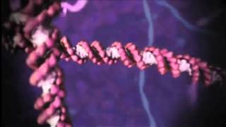 Mindblowing Animations of Molecular Machines inside Your Body [upl. by Aritak728]