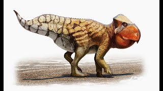 Udanoceratops An Abnormally Large Hornless Ceratopsian From Late Cretaceous Mongolia [upl. by Atinahc]