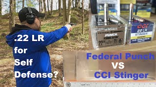 22 LR For Self Defense Federal Punch VS CCI Stinger [upl. by Nakashima186]