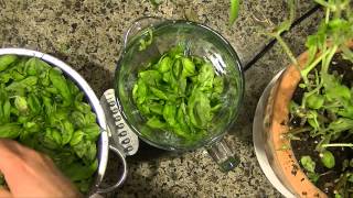 How to make pesto from fresh basil without nuts [upl. by Shlomo]