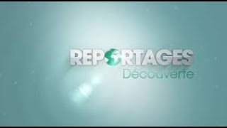 Evolution des génériques de Reportages Découverte [upl. by Ruckman362]