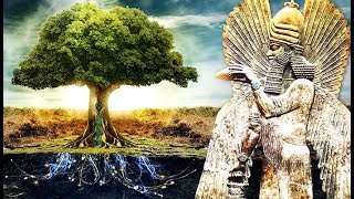 El Árbol de la Vida y el Destino de la Humanidad [upl. by Dohsar]