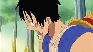 Luffy loses his crew  English Dub [upl. by Yebba201]