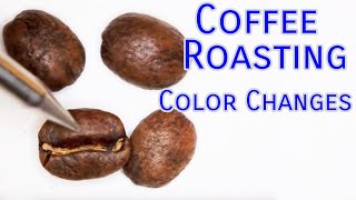 Coffee Roasting Basics  Color Changes [upl. by Eiahpets281]