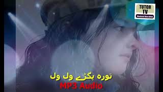 tora pagrhy wal wal Pashto Nazam Naat Jihadi Tarana natona song [upl. by Dianna]