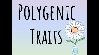 Polygenic Traits [upl. by Corell]