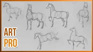 How to draw HORSES step by step 🐎 METHOD [upl. by Harolda318]