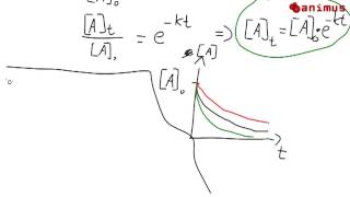 animus Tutorials Reaktion 1 Ordnung [upl. by Stambaugh]