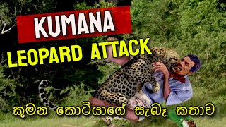 Kumana Leopard Attack  Sri Lankan Leopards [upl. by Ayar]