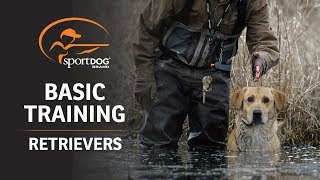 Basic Training  Retrievers [upl. by Albarran]