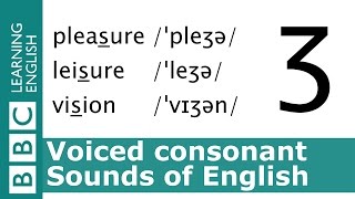 English Pronunciation 👄 Voiced Consonant  ʒ  pleasure leisure and vision [upl. by Chafee]