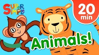 Our Favorite Animals Songs For Kids  Super Simple Songs [upl. by Ebony]