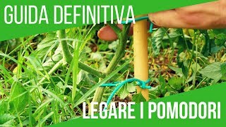 Come legare i pomodori in modo efficace  Grow tomatoes italian trick [upl. by Leugar]