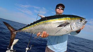 GIANT Tuna On LIVE BAIT Insane Day Offshore [upl. by Malinda]