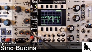 Noise Engineering Sinc Bucina [upl. by Akyeluz98]