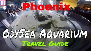 Phoenix AZ  OdySea Aquarium in Scottsdale AZ TRAVEL GUIDE  Episode 14 [upl. by Arised803]