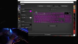 Apex Pro Keyboard how to setup your RGB lighting [upl. by Lavella]