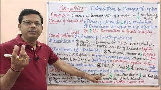 Hematinic Part01 Introduction to Anaemia  Anemia  Anaemia Treatment  खून बढाने वाले दवा [upl. by Winny]