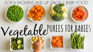 8 VEGETABLE PUREE for babies 6 months and up [upl. by Grimbly514]