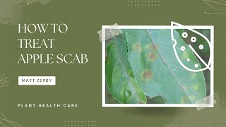 How to treat Apple Scab on Crabapples [upl. by Nisior]