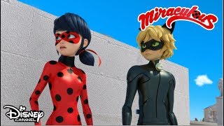 La film  Miraculous Buburuza și Motan Noir  Disney Channel România [upl. by Nilknarf]