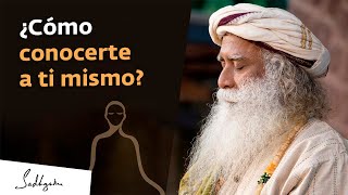 ¿Cómo conocerte a ti mismo │Sadhguru [upl. by Laenaj53]