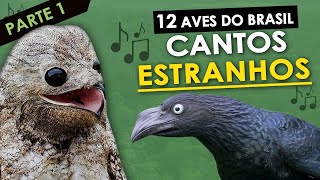 12 AVES do Brasil com CANTOS ESTRANHOS 1  Pássaros com vocalização estranha ou diferente [upl. by Engdahl]