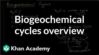 Biogeochemical cycles  Ecology  Khan Academy [upl. by Luben]