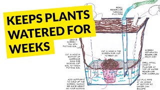 Super easy DIY selfwatering planter from any container [upl. by Foote]