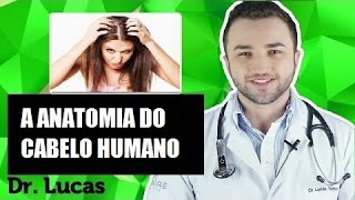 ANATOMIA do Cabelo para Profissionais da Área  Dr Lucas Fustinoni [upl. by Naehgem]