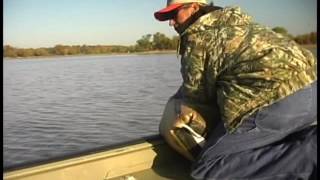 Fishing Tips chumming for catfish [upl. by Quartas]