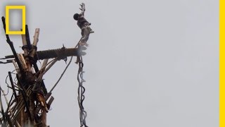 Amazing POV Jump With the Original Bungee Jumpers  National Geographic [upl. by Sorac756]