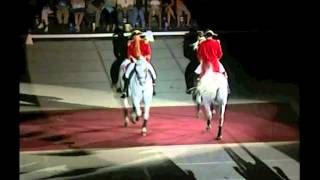 Lipizzaner Stallion Show  Las Vegas 2006 [upl. by Oirobil]