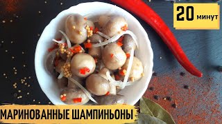 Маринованные Шампиньоны 👍 БЫСТРЫЙ РЕЦЕПТ  20 минут и Закуска на Столе  Как Замариновать Шампиньоны [upl. by Inama]