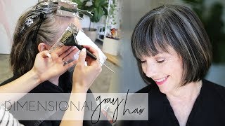 How to add dimension back into Natural Gray Hair Color  Transition to Gray Hair Naturally [upl. by Isdnil101]