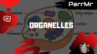 Organelles Song [upl. by Hanford]