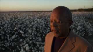 Many Rivers to Cross The Cotton Economy and Slavery HD [upl. by Leveroni363]