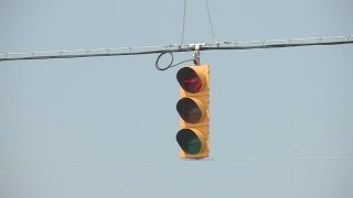 To turn or not to turn Rightturn arrow signals confuse drivers [upl. by Frick]