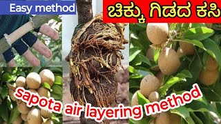 Sapota Grafting  ಚಿಕ್ಕು ಗಿಡದ ಕಸಿ ಕಟ್ಟುವ farming agriculture garden gardening krishikalyana [upl. by Nylsor]